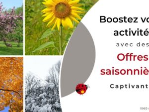 Boostez Votre Activité avec des Offres Saisonnières Captivantes